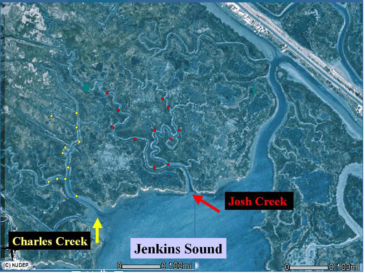 Jenkins Sound