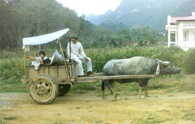 Local staff return from a Village Program presentation.